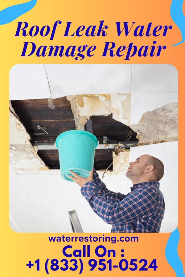 Roof Leak Water Damage Repair in Plaucheville, LA